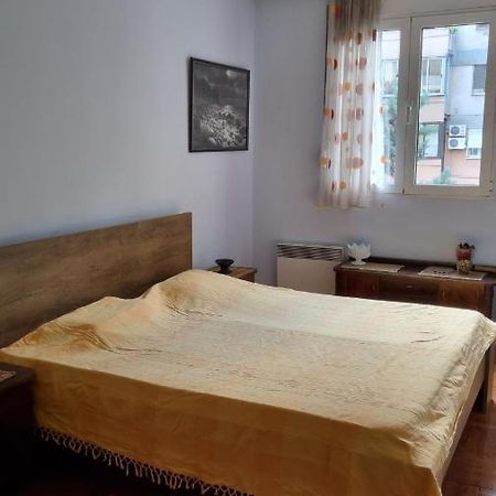 Apartment Z Podgorica Kültér fotó